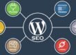 Why WordPress Scores Higher than Other CMS Platforms?